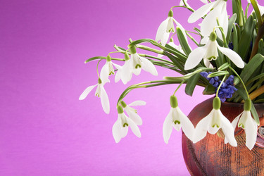 Similar image 1095705