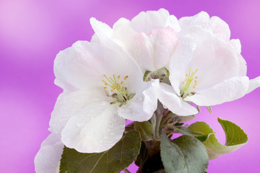 Similar image 1095708