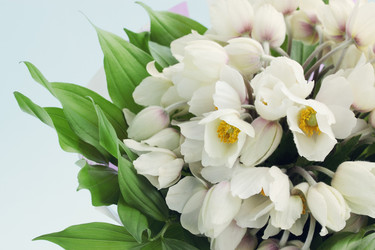 Similar image 1095710