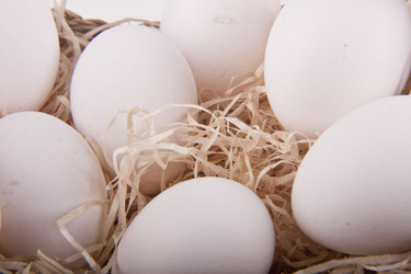 Similar image 1095728