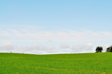 Similar image 1095753