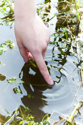 Similar image 1095767