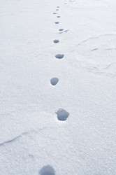 Similar image 1095771