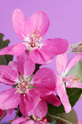 Similar image 1095842