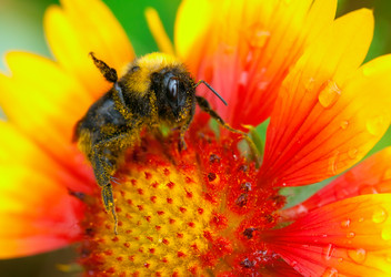 Similar image 1095849