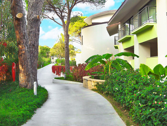 Similar image 1095844