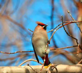 Similar image 1095856