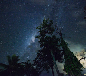 Similar image 1095903