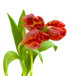 Similar image 1095971