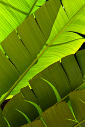 Similar image 1095985