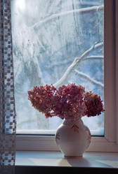 Similar image 1095983