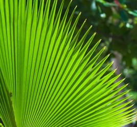 Similar image 1095988