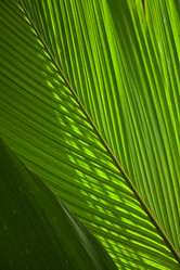 Similar image 1096009