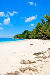 Similar image 1096045