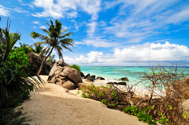 Similar image 1096055