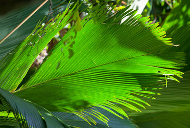 Similar image 1096058