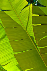 Similar image 1096078