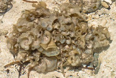 Similar image 1096071