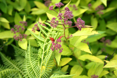 Similar image 1096069