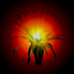 Similar image 1096127