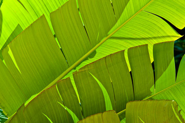 Similar image 1096140