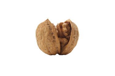 Similar image 1096146