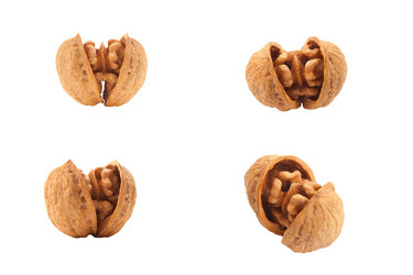 Similar image 1096149