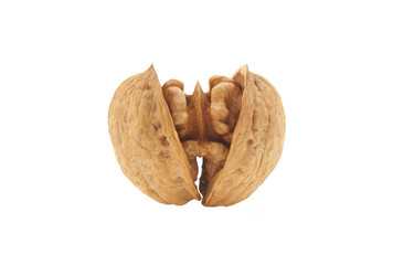 Similar image 1096151