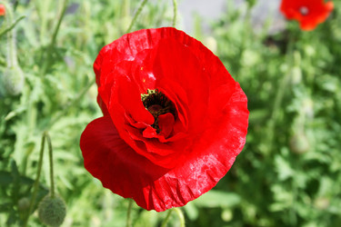 Similar image 1096153