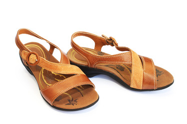 Similar image 1096231