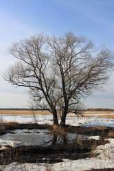 Similar image 1096274