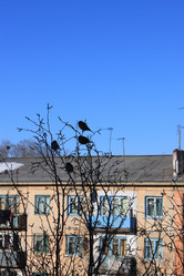 Similar image 1096275