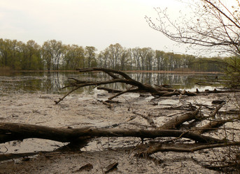 Similar image 1096277