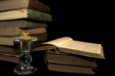 Similar image 1096318