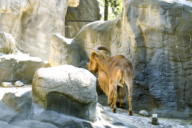 Similar image 1096366