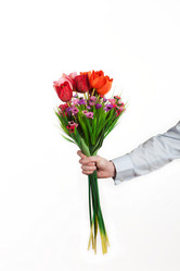 Similar image 1096512