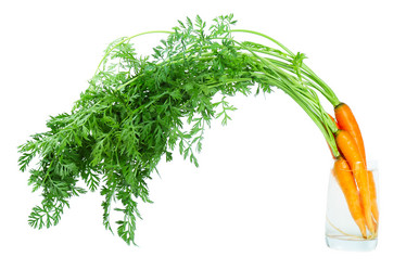 Similar image 1096564