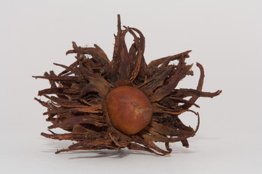 Similar image 1096643