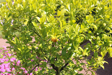 Similar image 1096714