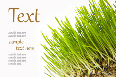 Similar image 1096770