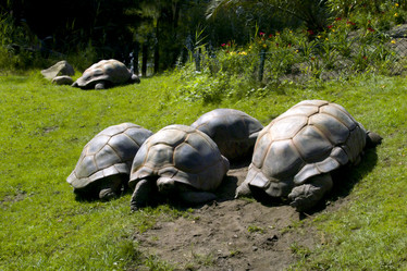 Similar image 1096820