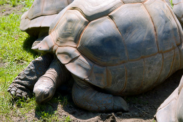 Similar image 1096821