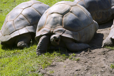 Similar image 1096822