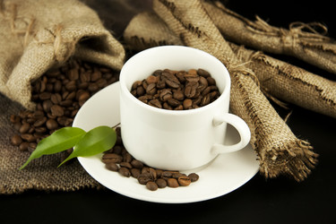 Similar image 1096833