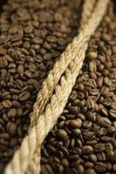 Similar image 1096850