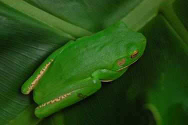 Similar image 1096909