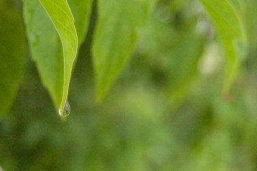 Similar image 1096928