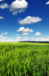 Similar image 1096974