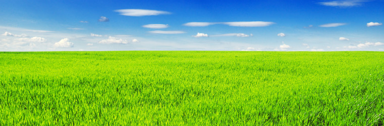 Similar image 1096995