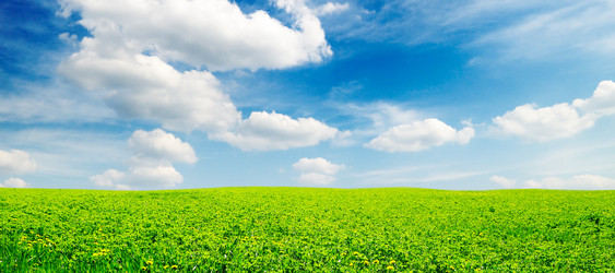 Similar image 1096999